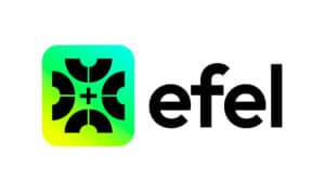 Logo Efel Consulting